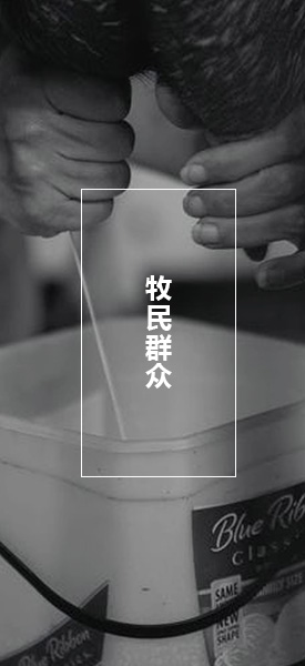 4749铁l算盘资料大全